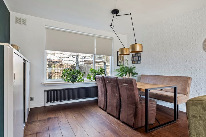 Foto 5 van de Plevier 17