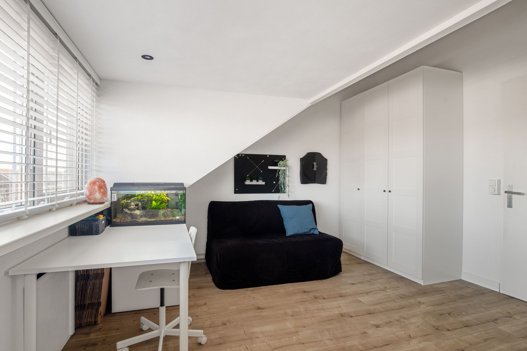 Foto 45 van Van Alkemadelaan 6