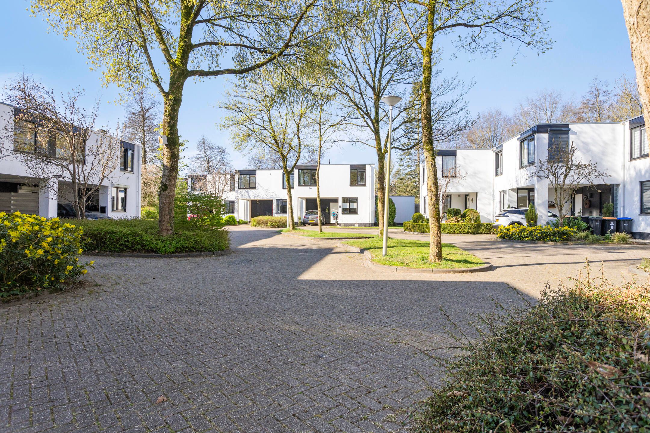 Foto 6 van Phobos 12