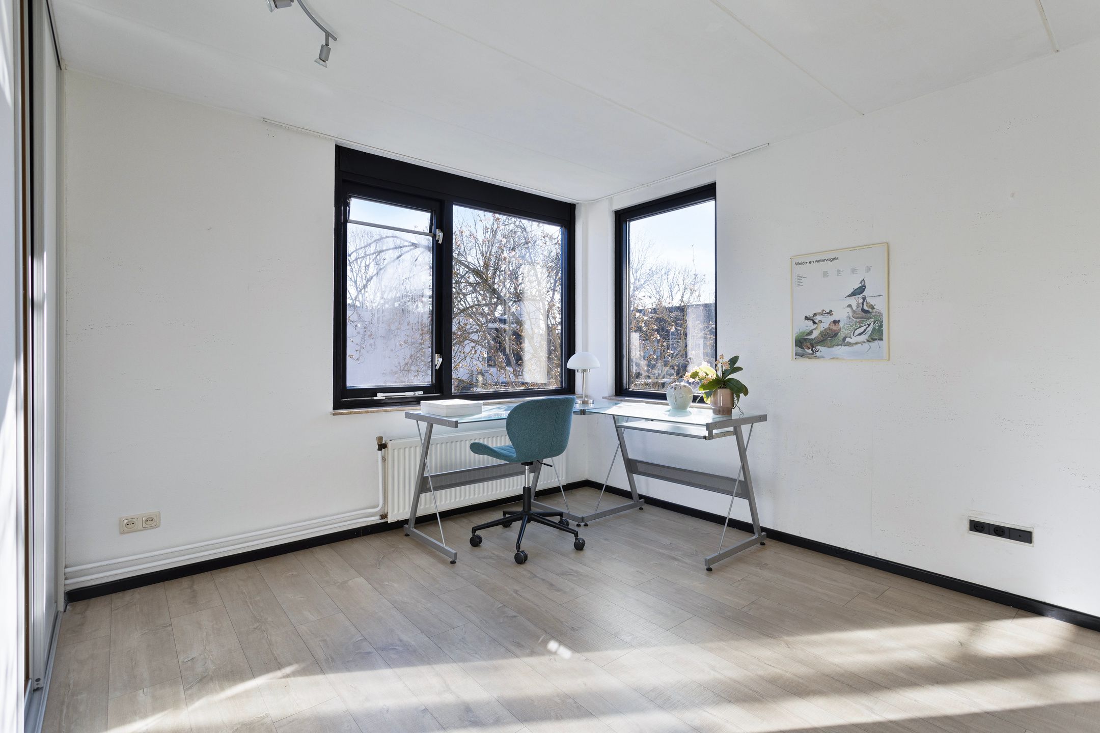 Foto 27 van Phobos 12