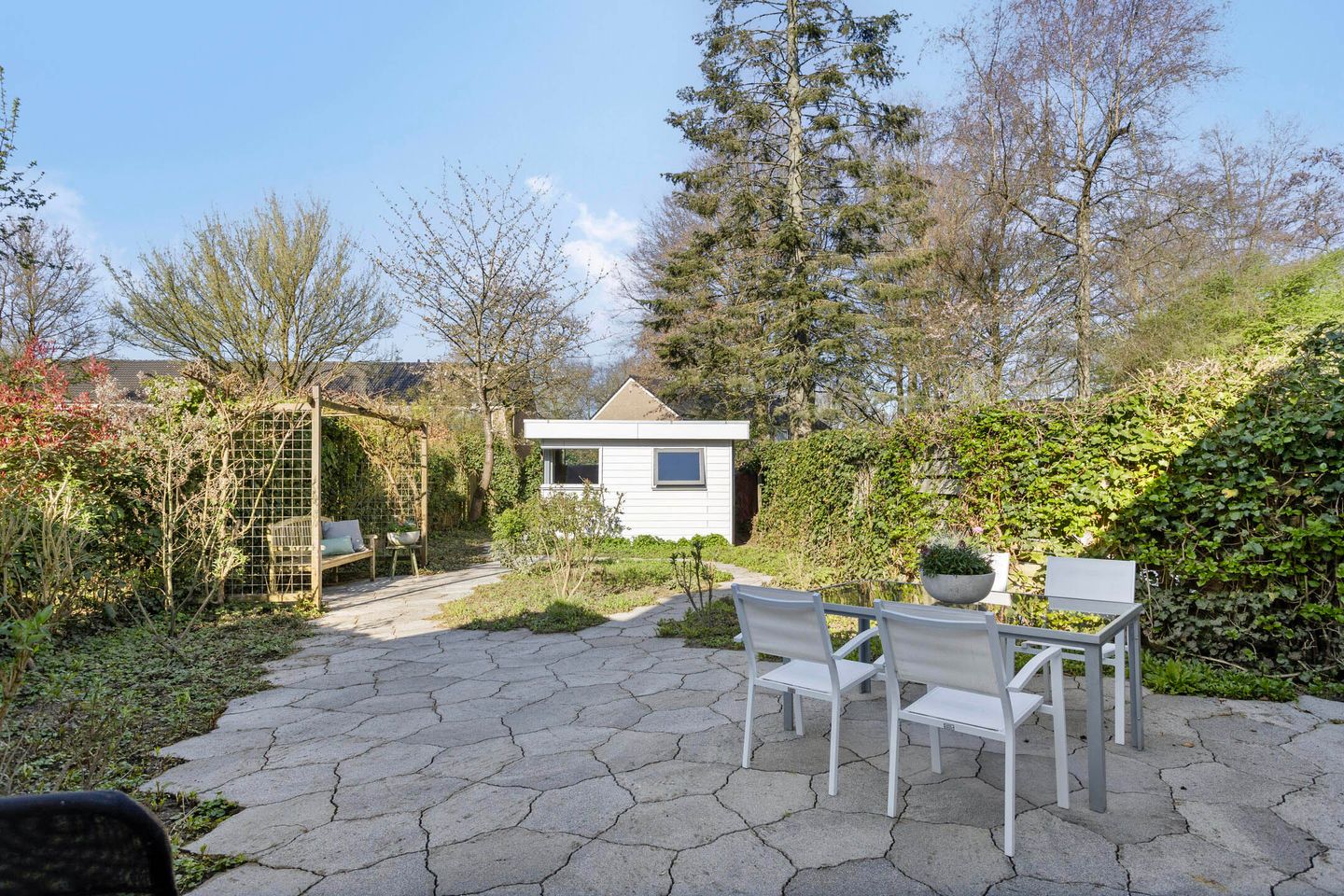 Foto 35 van Phobos 12