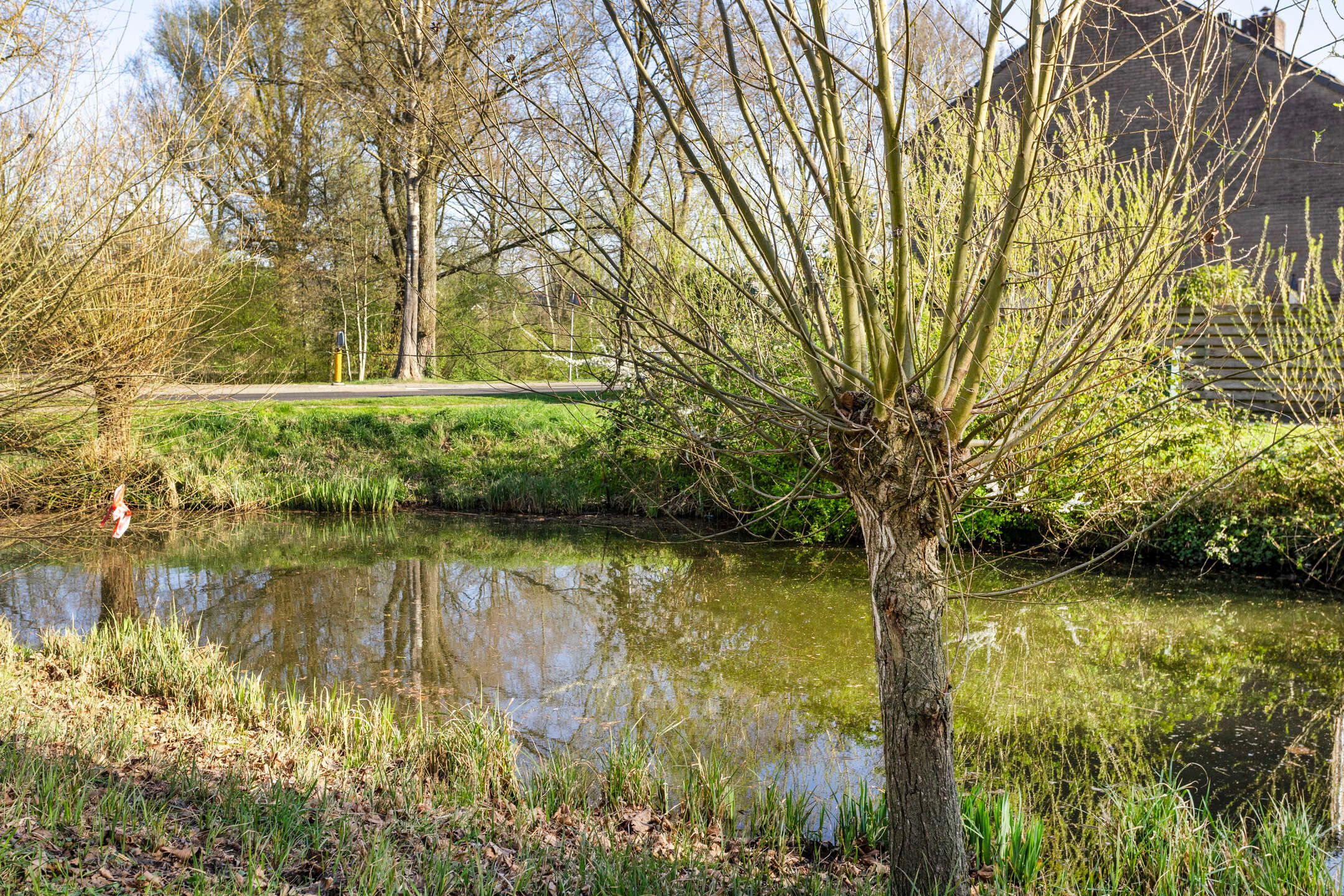 Foto 42 van Phobos 12