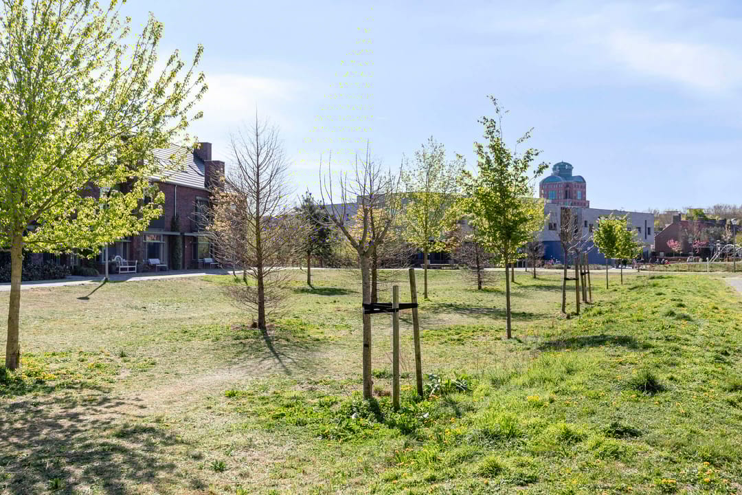 Foto 32 van Otto Sternstraat 5