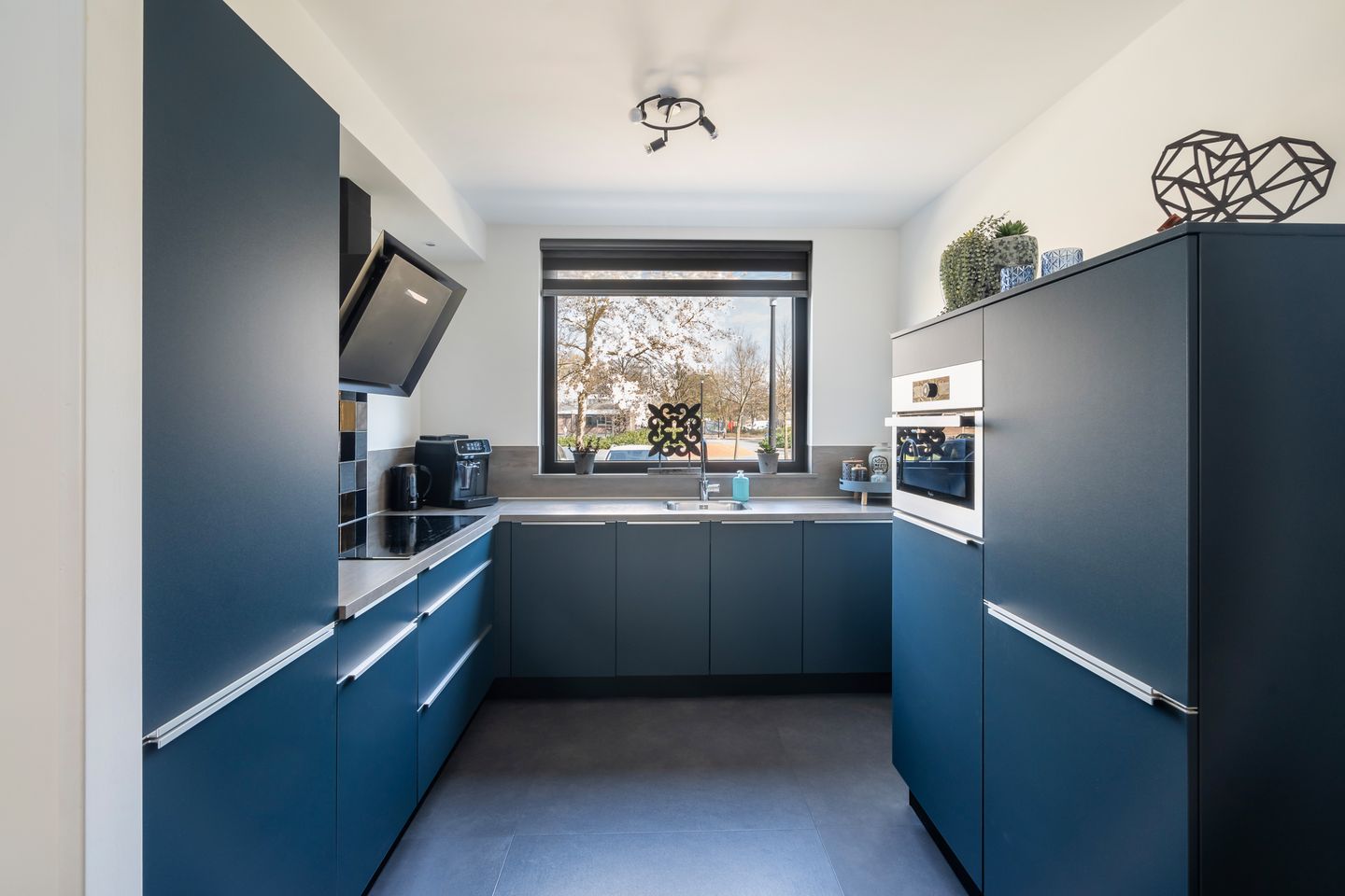 Foto 10 van Muskuskruid 3