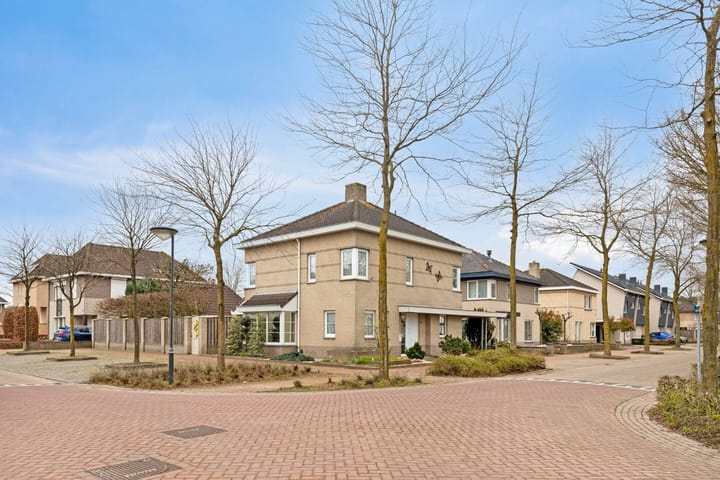 Foto 3 van Gagelveld 1