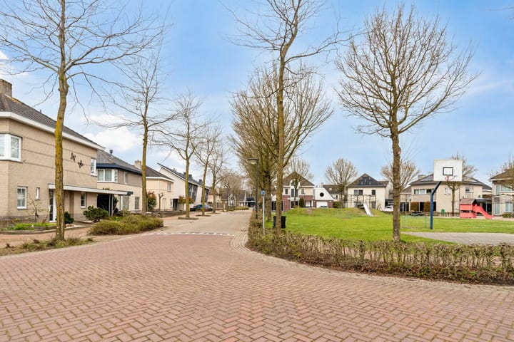 Foto 4 van Gagelveld 1