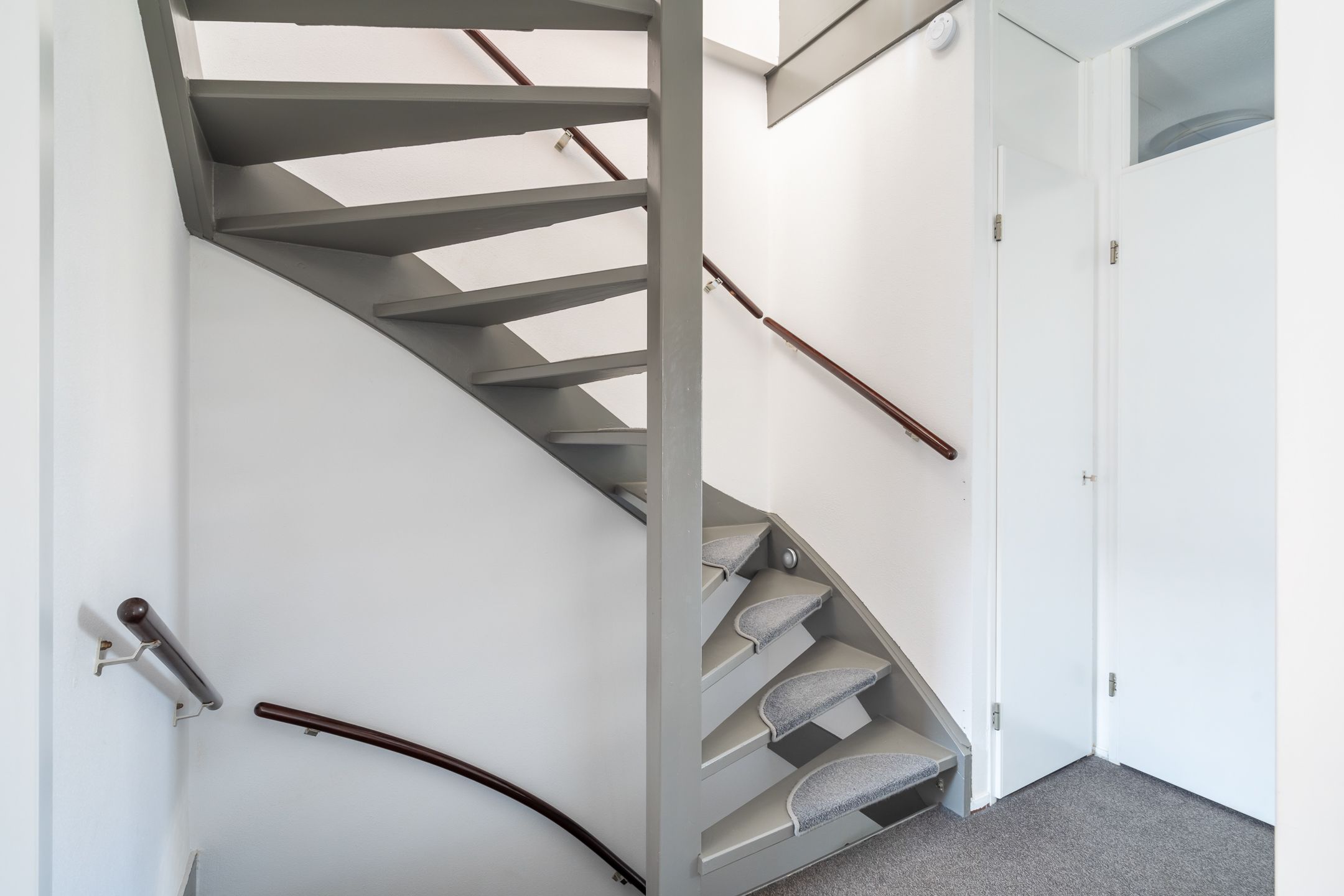 Foto 27 van Muskuskruid 3