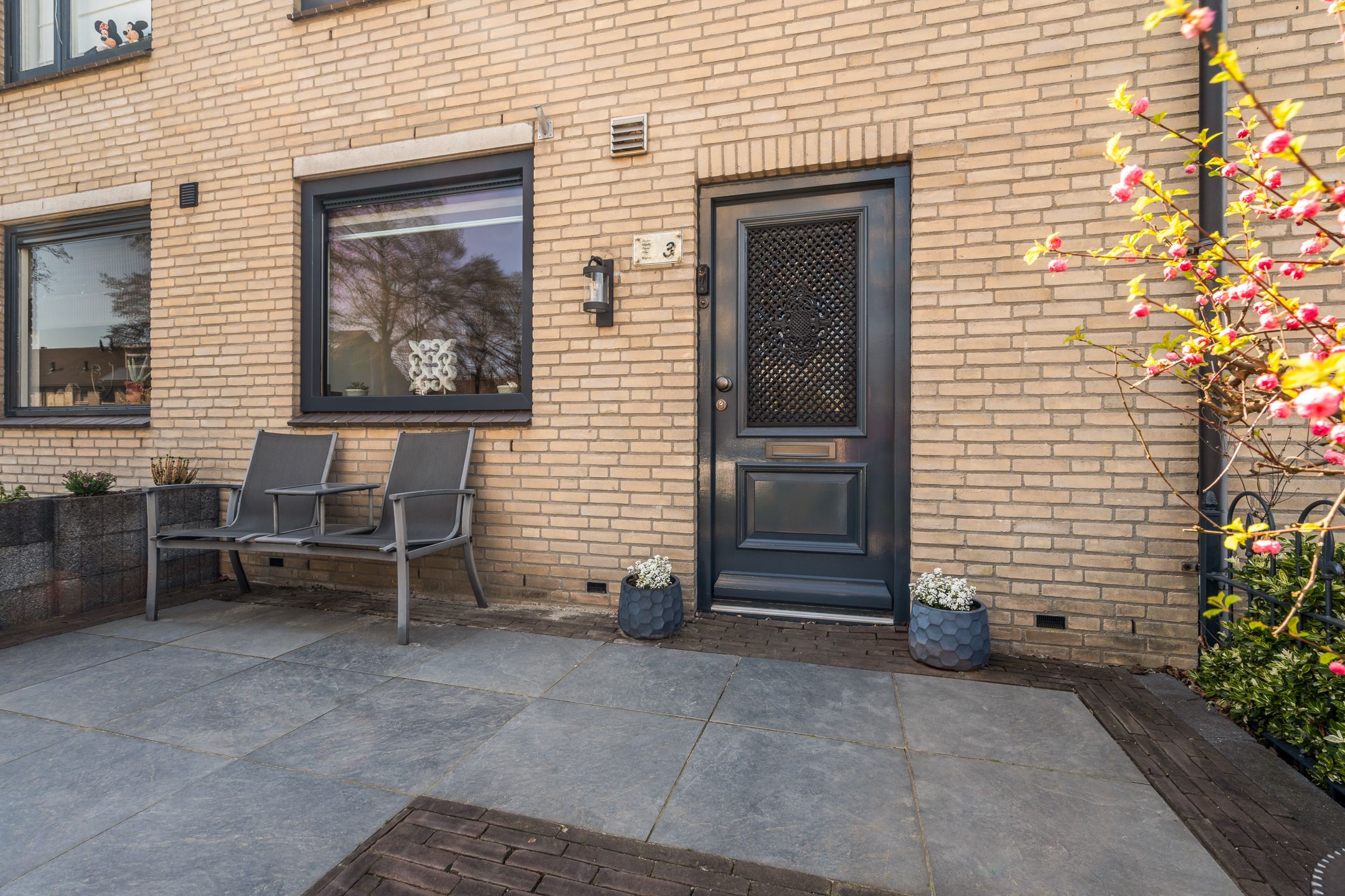 Foto 45 van Muskuskruid 3