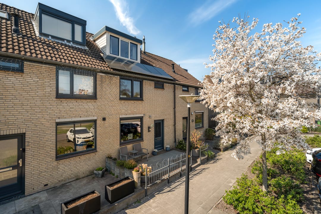 Foto 46 van Muskuskruid 3