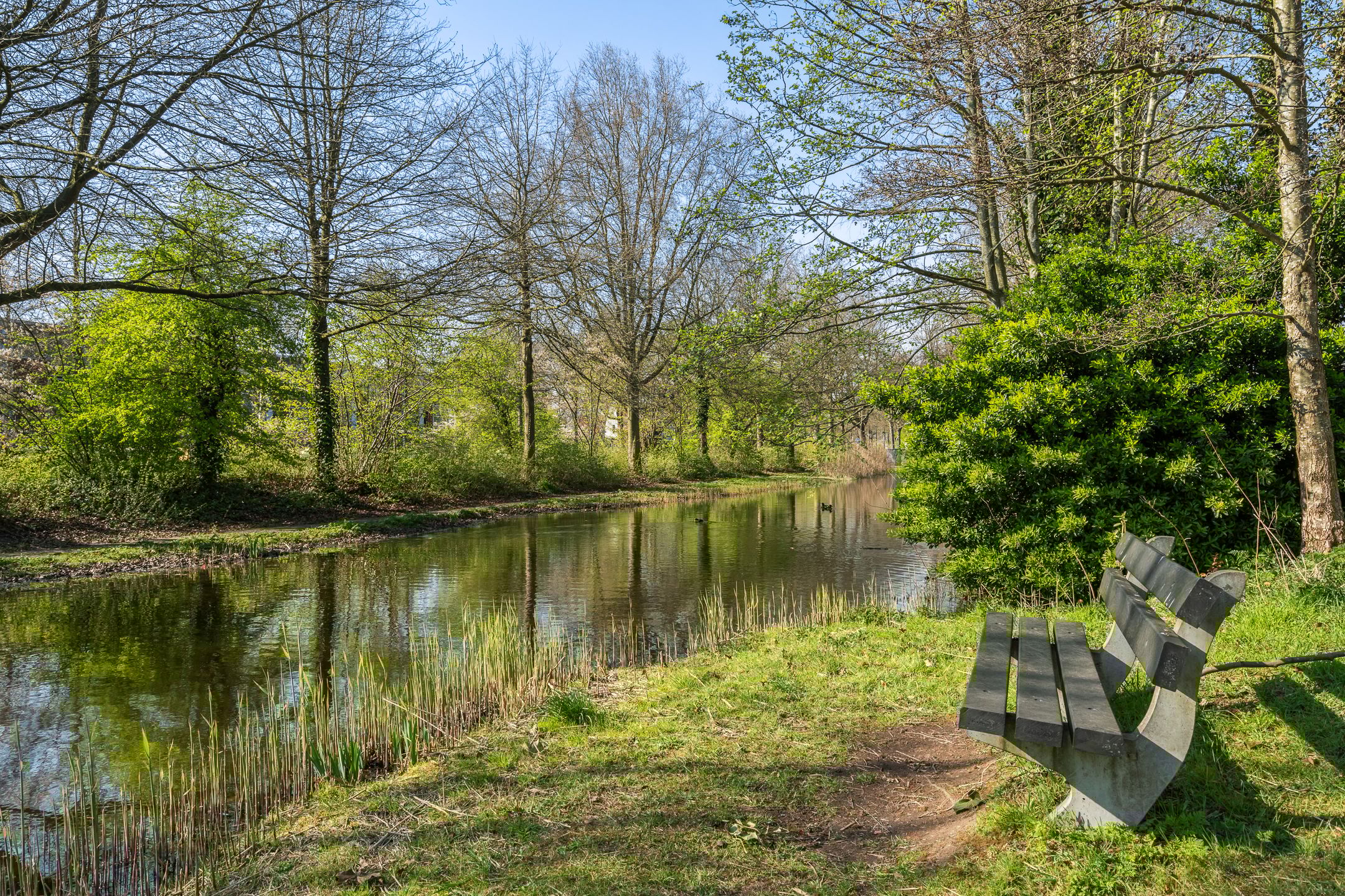 Foto 48 van Muskuskruid 3