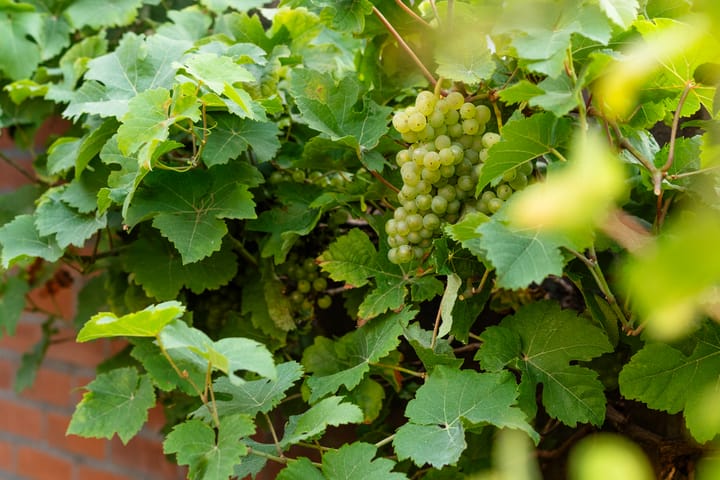 Foto 20 van Schoutenweg 4