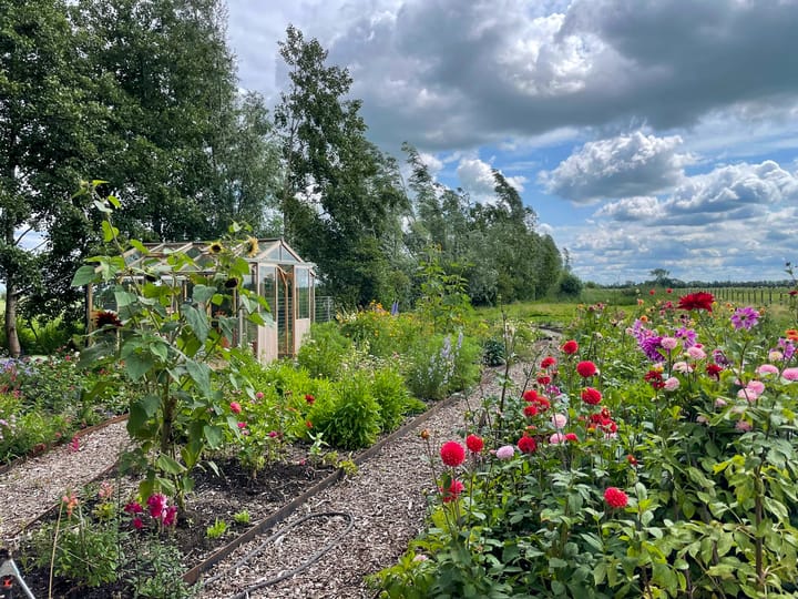 Photo 48 of Oosteinde 34