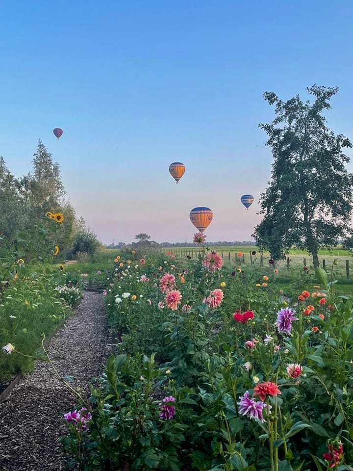 Photo 60 of Oosteinde 34