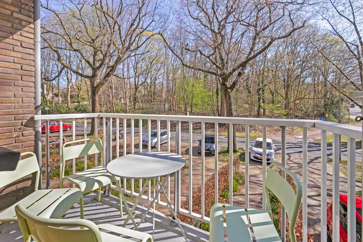 Photo 11 of Prins Frederiklaan 65-A