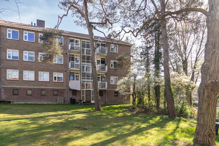 Photo 25 of Prins Frederiklaan 65-A