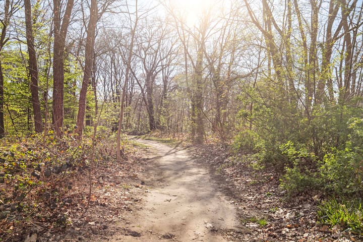 Photo 31 of Prins Frederiklaan 65-A