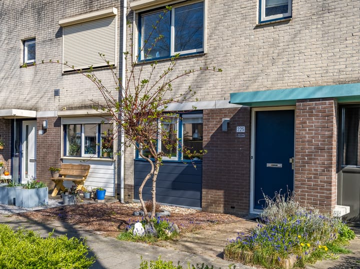 Foto 2 van Ien Dalessingel 225