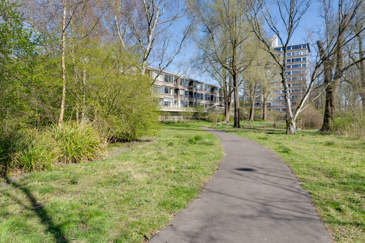 Foto 29 van Meander 423