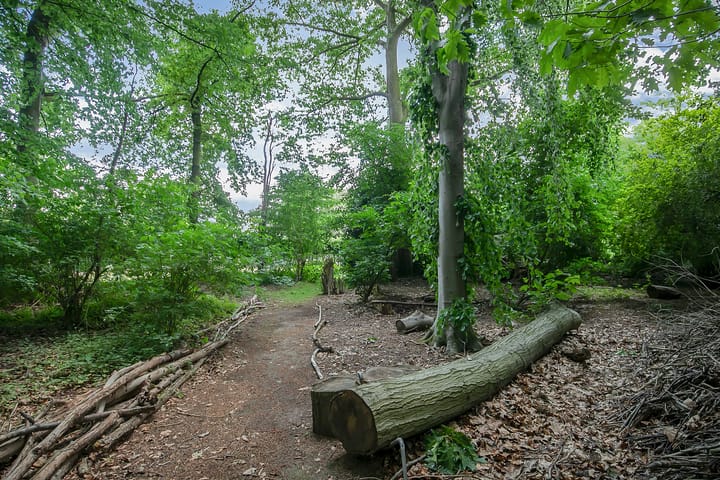 Foto 47 van Mauritsweg 117