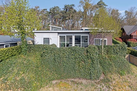 undefined main image