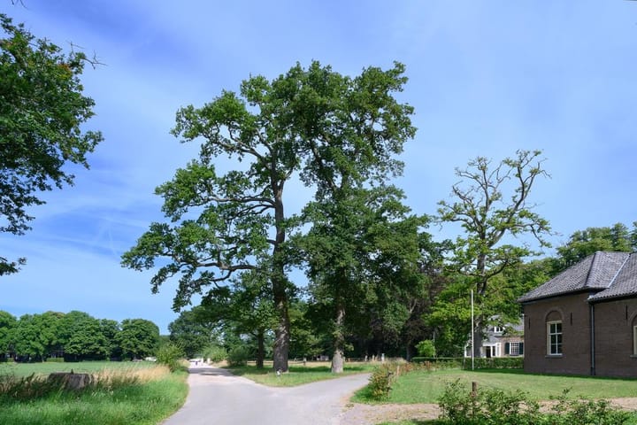 Foto 3 van Spalderkampseweg 3