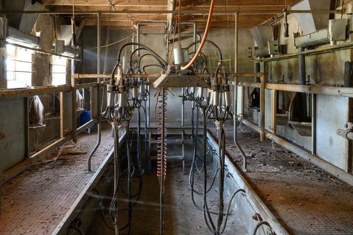 Photo 26 of Spalderkampseweg 3