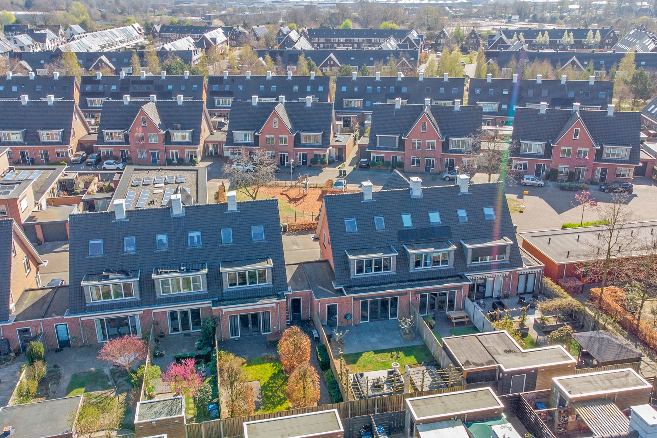 Photo 39 of Torenbergerhout 14