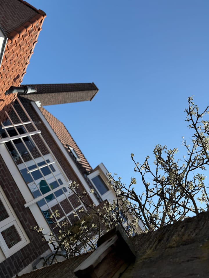 Foto 47 van Prins Alexanderstraat 30