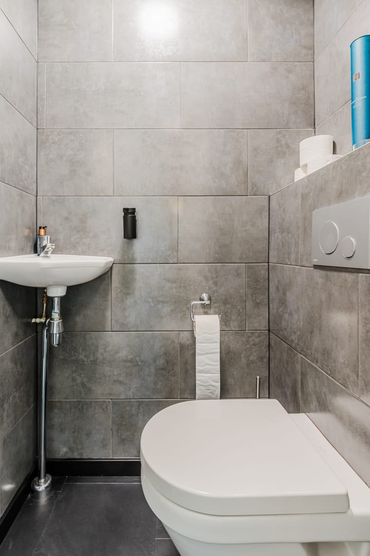 Foto 10 van Lisdodde 65