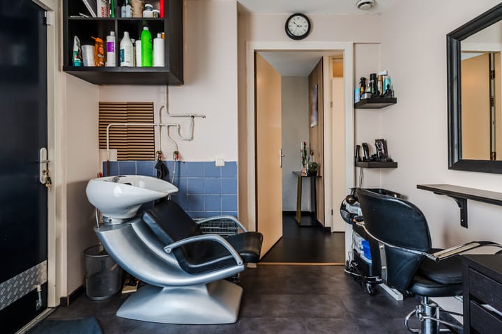 Foto 12 van Lisdodde 65