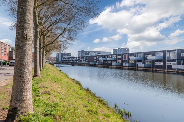 Foto 37 van Lisdodde 65