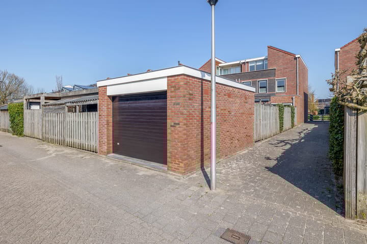 Photo 5 of Vrouwenmantel 105