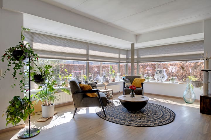 Foto 16 van Dassenwissel 31