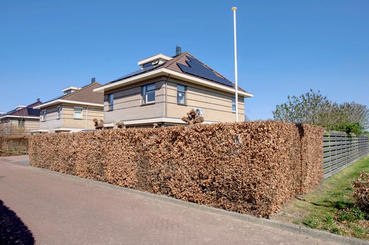 Foto 42 van Dassenwissel 31