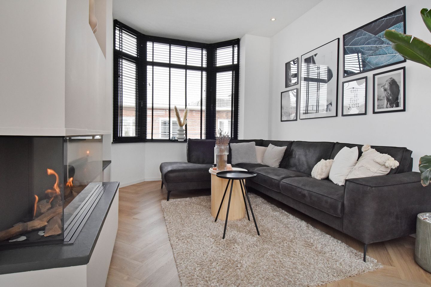 Foto 10 van van Wassenaerstraat 31