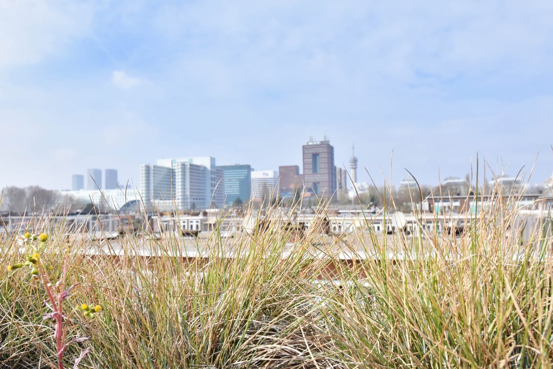 Foto 41 van van Wassenaerstraat 31