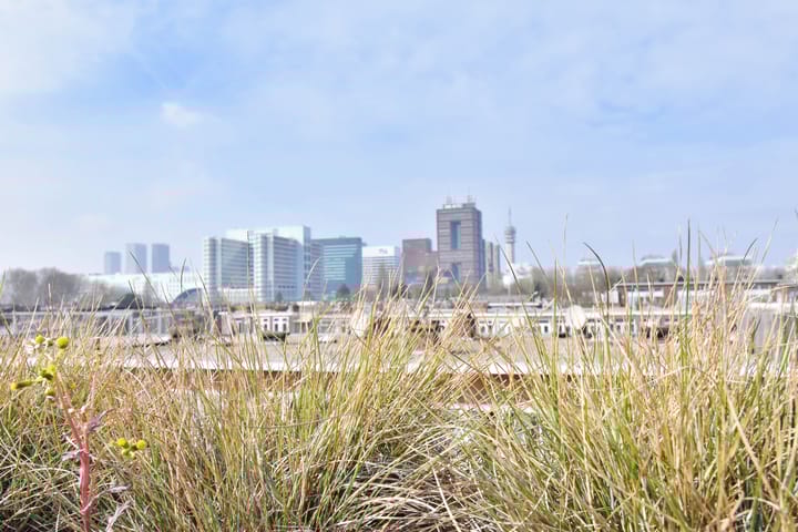 Foto 41 van van Wassenaerstraat 31