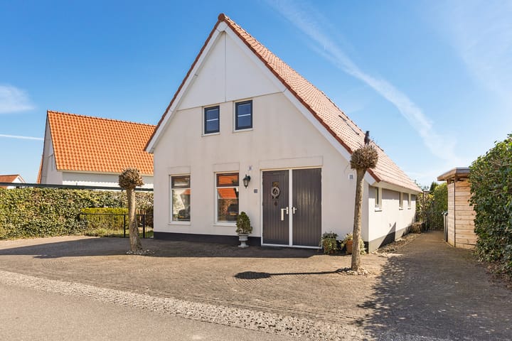 Foto 1 van Meerkoet 20