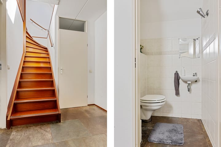 Foto 15 van Meerkoet 20