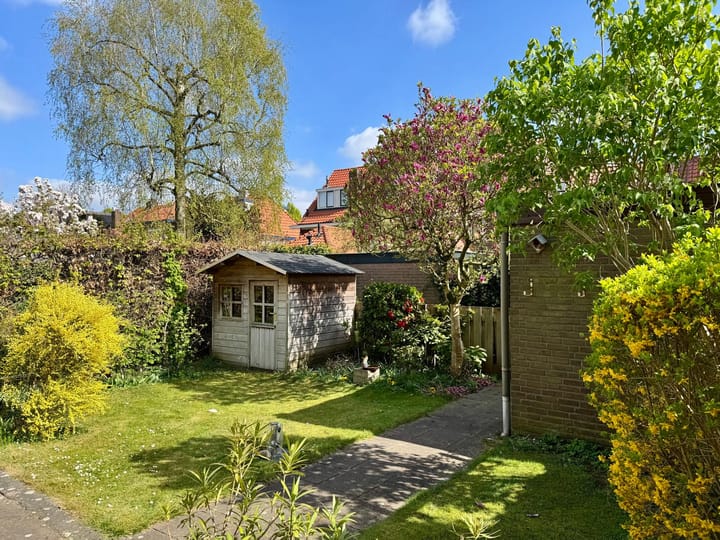 Foto 3 van Okapistraat 49