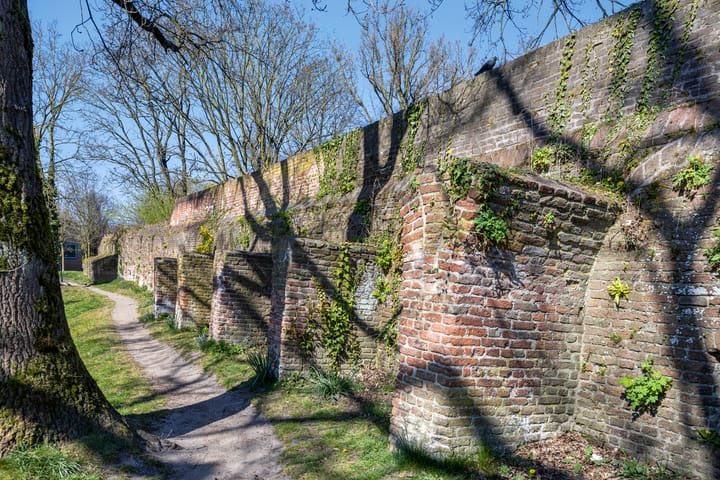 Foto 58 van Celzusterenstraat 8