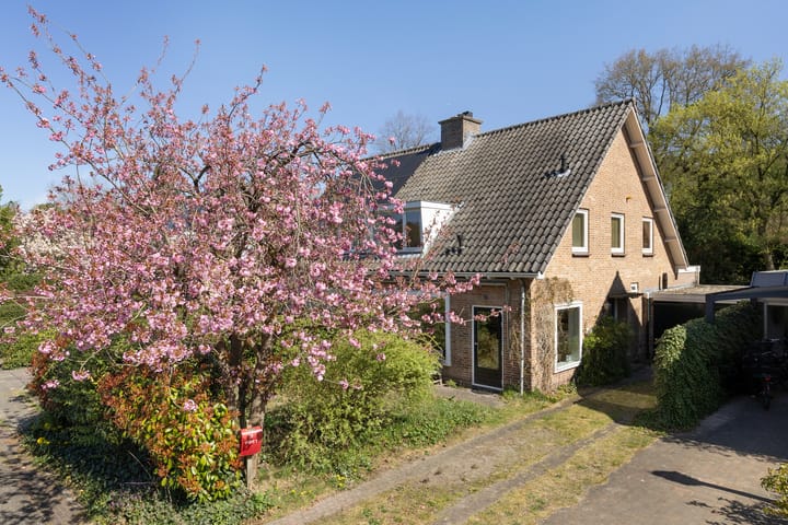 Gerard Terborchlaan 12