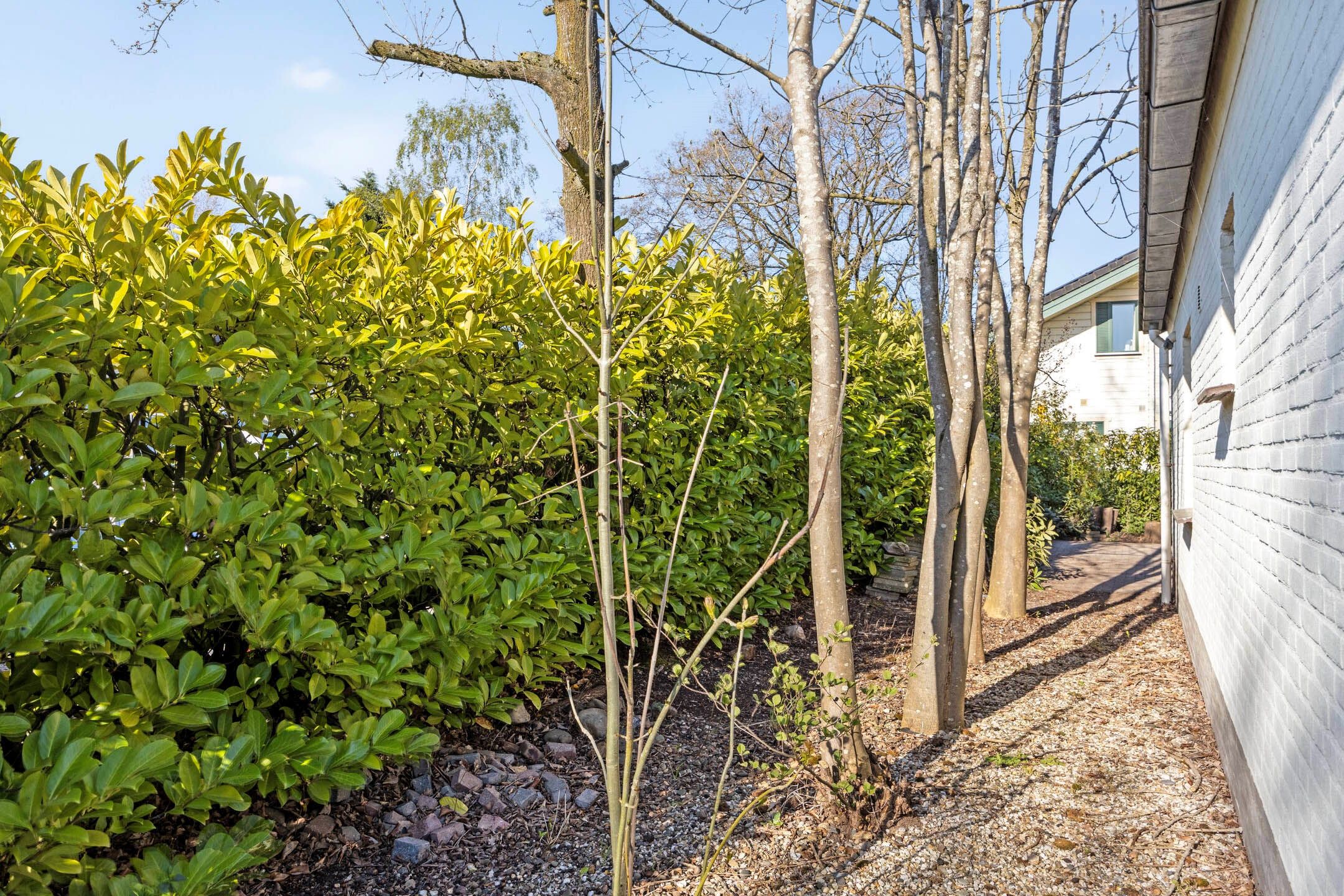 Foto 18 van Kleine Heistraat 16-K336