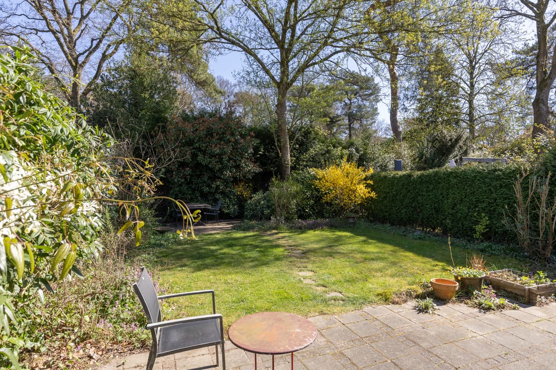 Photo 38 of Gerard Terborchlaan 12