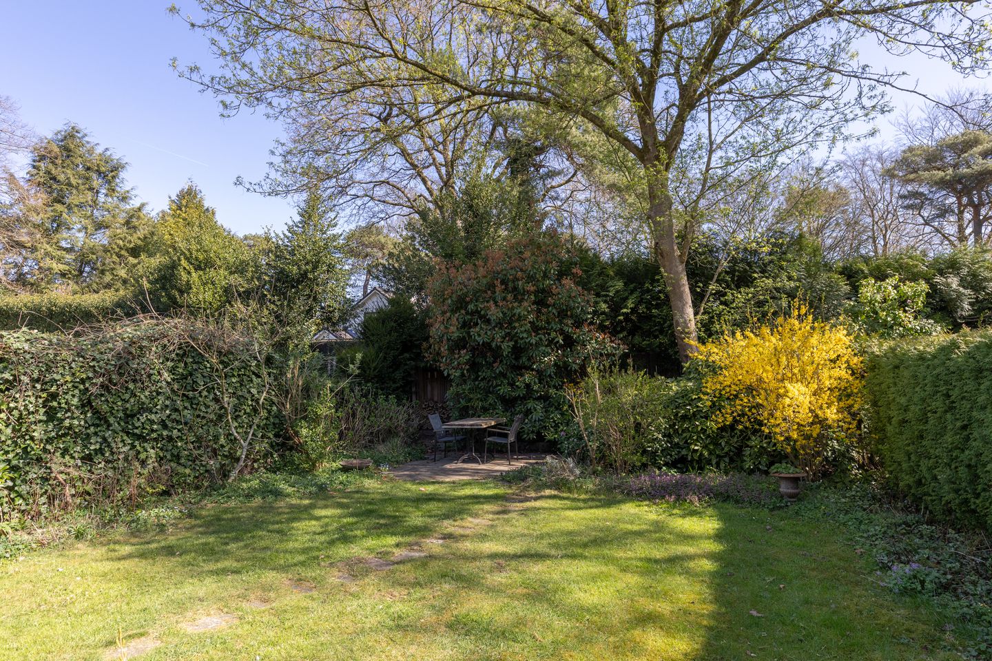 Photo 40 of Gerard Terborchlaan 12