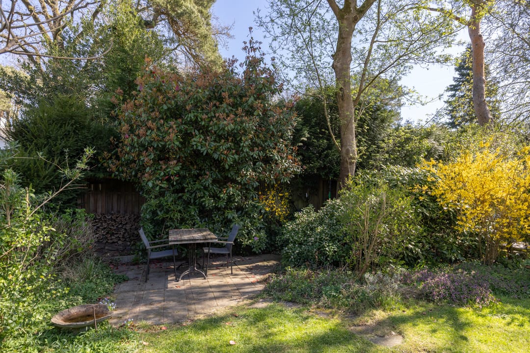 Photo 41 of Gerard Terborchlaan 12