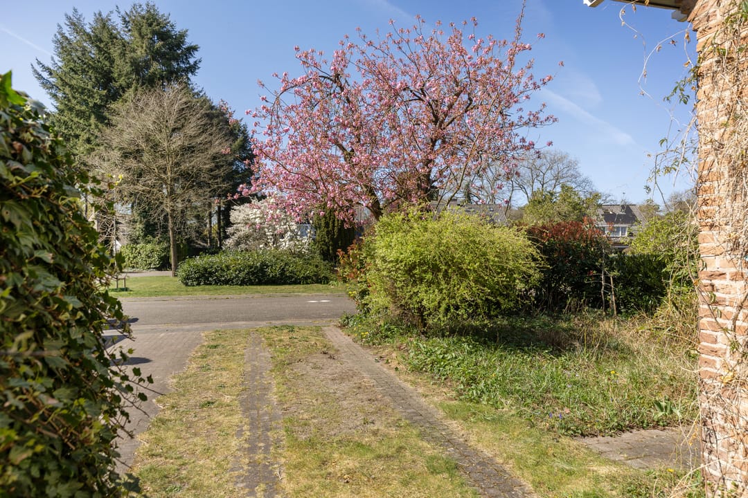 Photo 47 of Gerard Terborchlaan 12