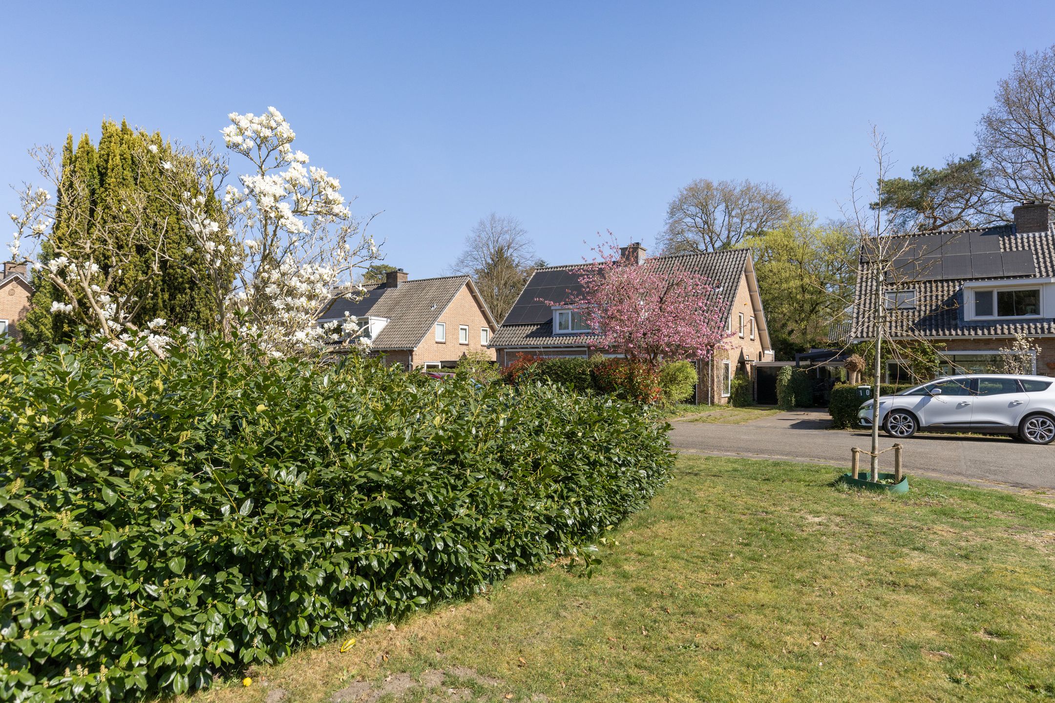 Photo 48 of Gerard Terborchlaan 12