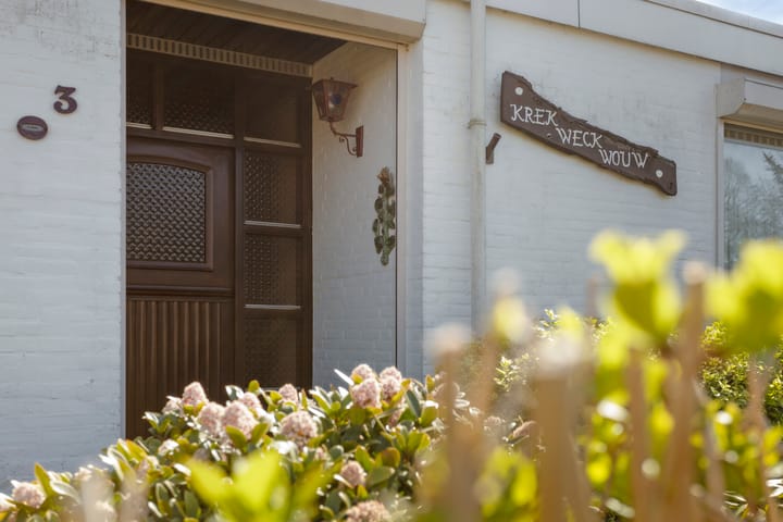 Foto 4 van Ds. Louwe Kooymanslaan 3