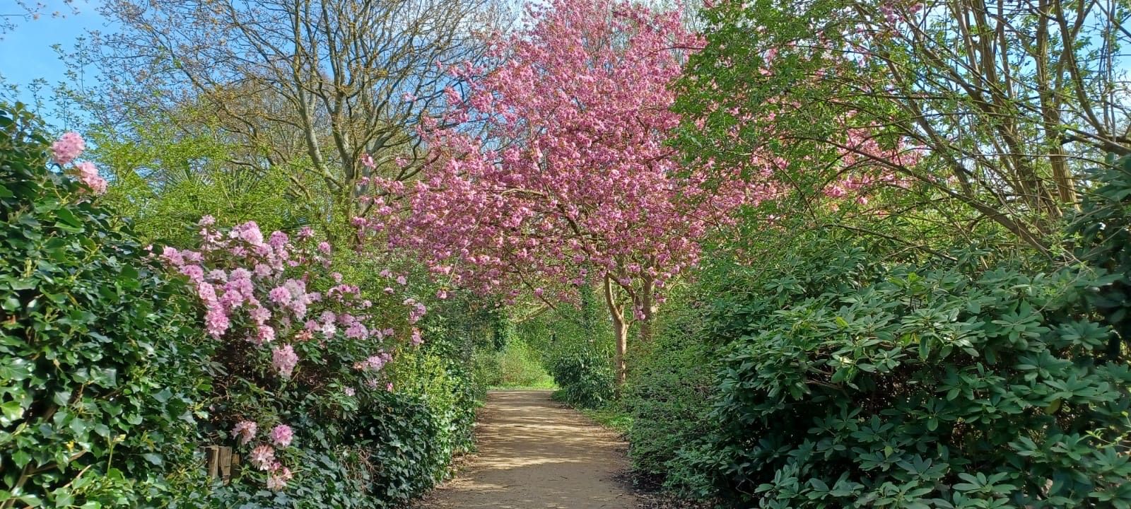 Foto 51 van Zaanenlaan 27